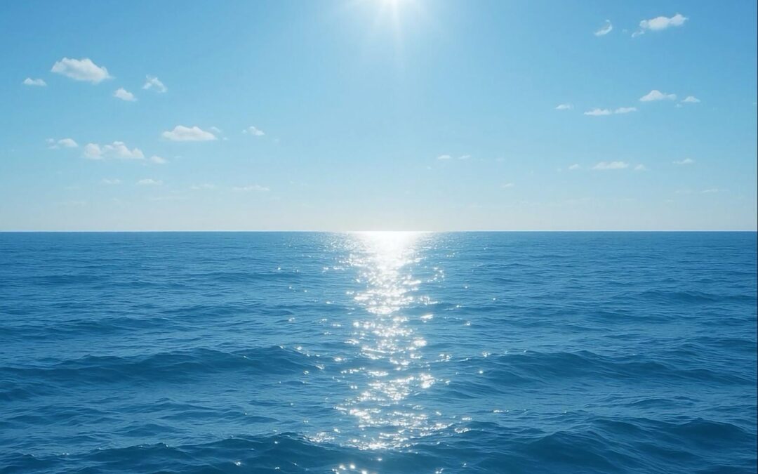 未来へ続く光の海